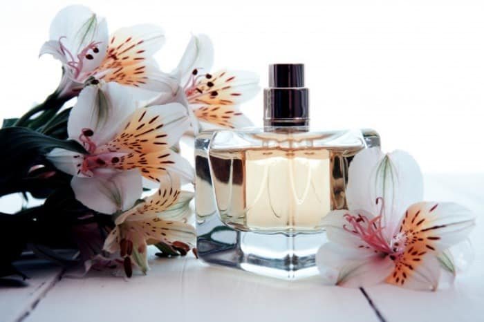 Choosing a Long-lasting Perfume Perfume Suitable for Every Season