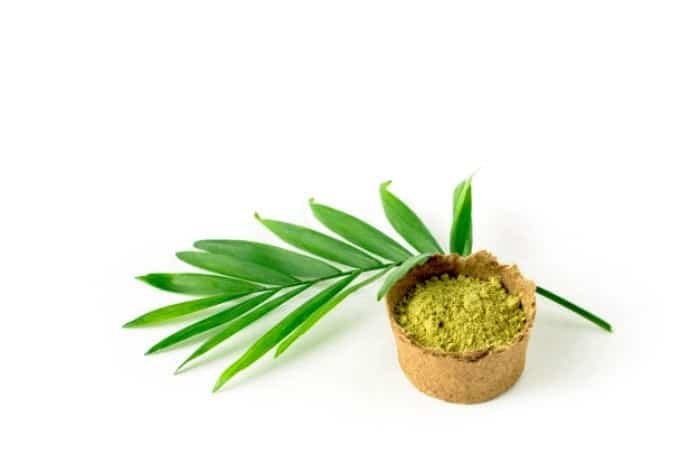 Guide to henna application on hair Henna for hair loss