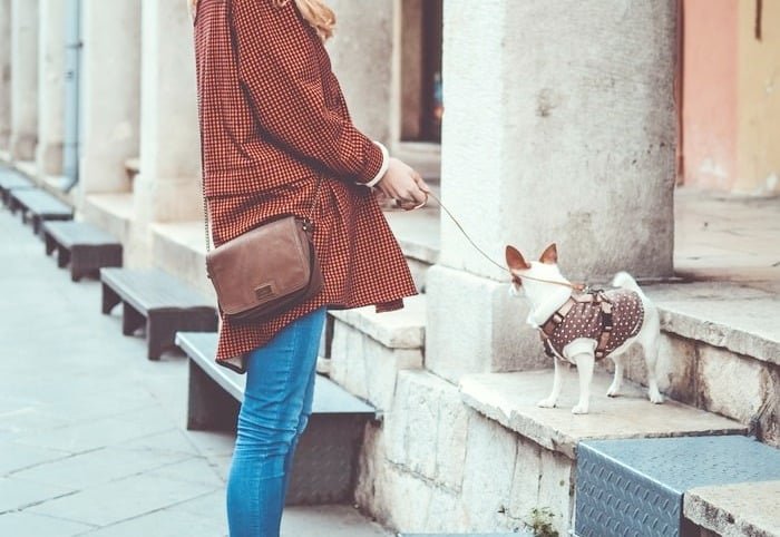 Matching Brown with Blue Brown Outfit