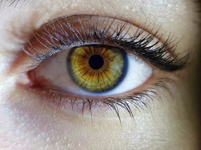 Strengthening the Lashes