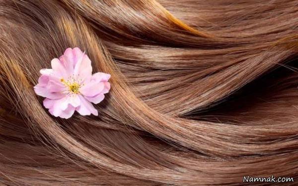 Camellia oil Important tips for achieving straight hair