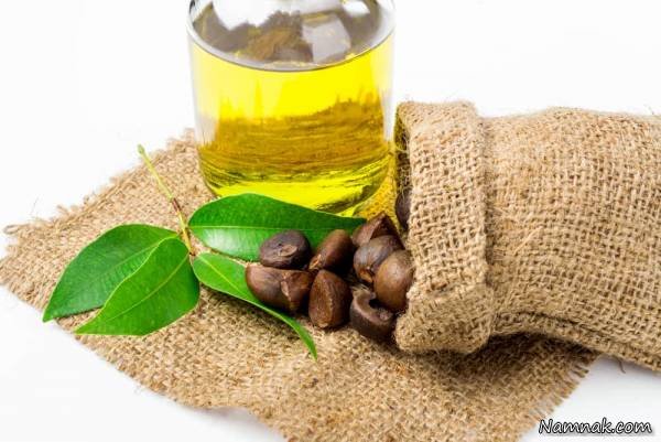 Wooden combs Beauty of hair with Japanese camellia oil