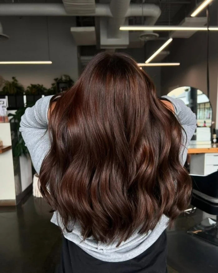 Chocolate Brown Hair Color