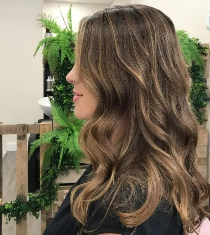 Light Mocha Hair Color Blend